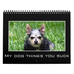 2023 Discouragement & Demotivational Humor Calendar