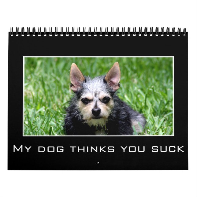 2023 Discouragement & Demotivational Humor Calendar (Cover)
