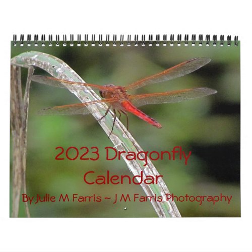 2023 Dragonfly Wall Calendar