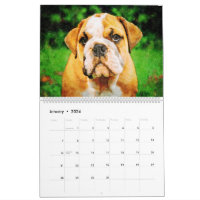 Bully Mom - Dogs Mommy - English Bulldog Gift' Full Color Mug