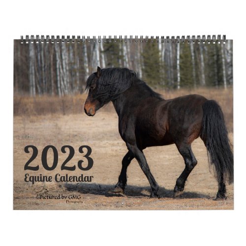 2023 Equine Photo Calendar