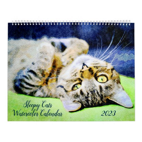 2023 Funny Lazy Sleepy Cat Relaxing Cat Lover Gift Calendar