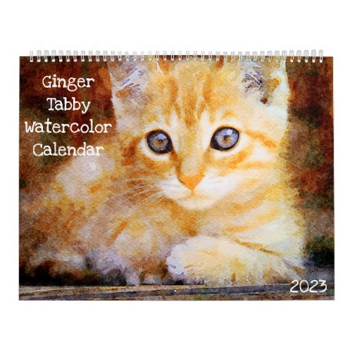 2023 Ginger Tabby Cat Lover Owner Marmalade Cat Calendar