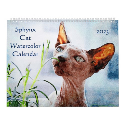 2023 Hairless Sphynx Cat Owners Lovers Gift Calendar