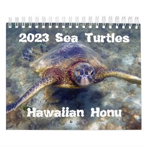 2023 Hawaiian Honu Green Sea Turtles Calendar