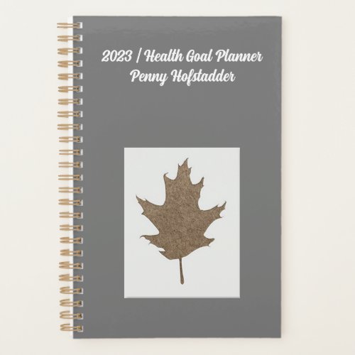 2023  Health Goal Planner _ Personalised Penny