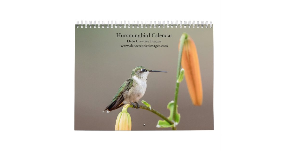 2023 Hummingbird Calendar Zazzle