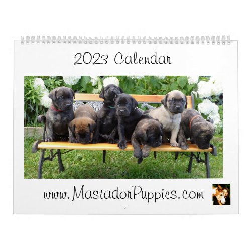 2023 Mastador Puppy Calendar
