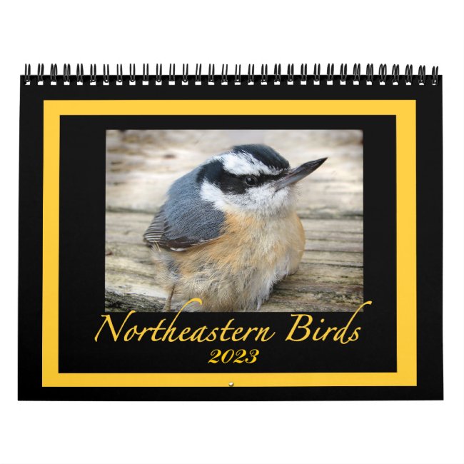 2023 Northeastern Bird Animal Nature Photography