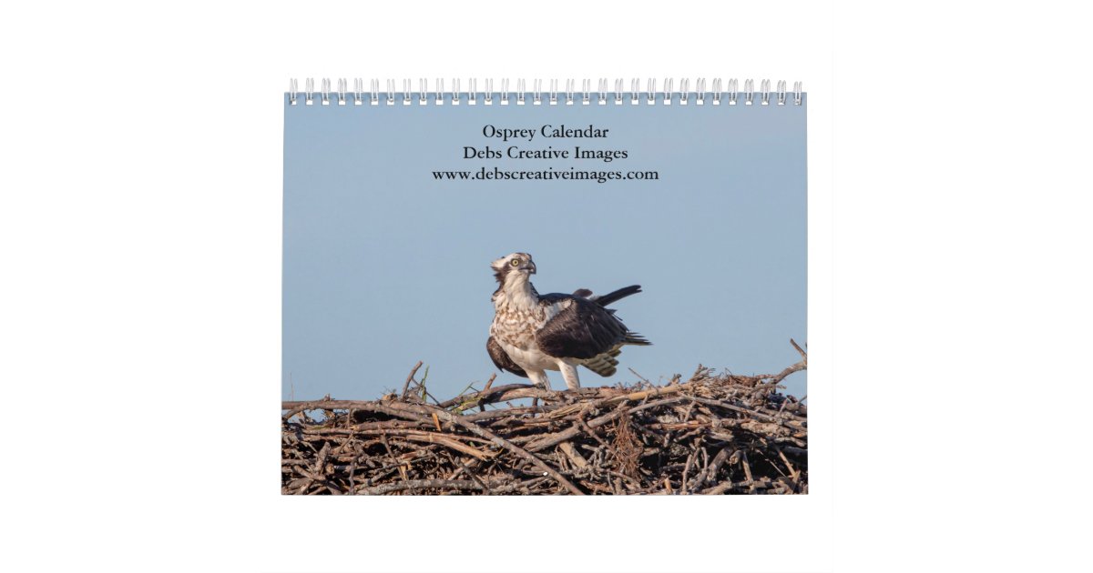 2023 Osprey Calendar | Zazzle