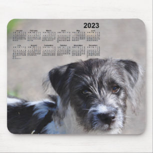 2023 Puppy Calendar by Janz Jack Russell Terrier Mouse Pad