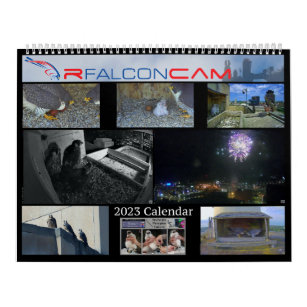 2023 Rfalconcam Calendar