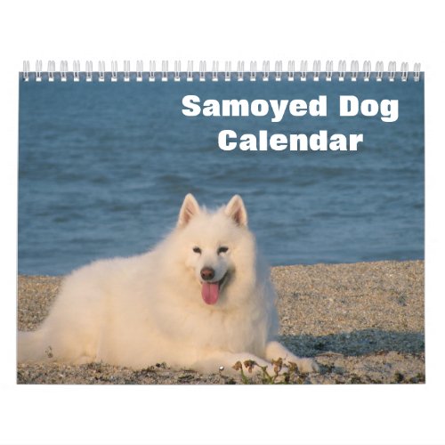 2023 Samoyed Dog Calendar