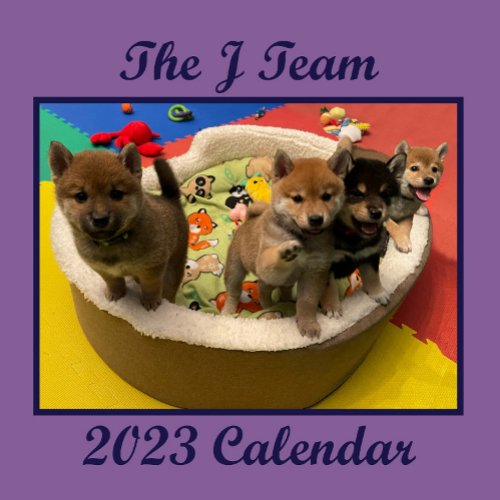 2023 Shiba PuppyCam Wall Calendar
