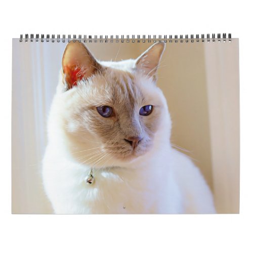 2023 Siamese Royalty Calendar