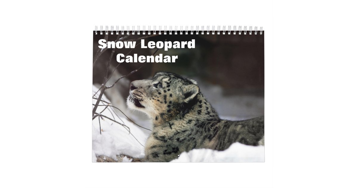2023 Snow leopard Calendar | Zazzle