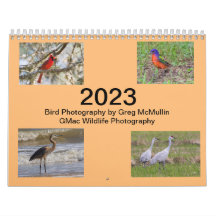 2023 Texas Bird Calendar