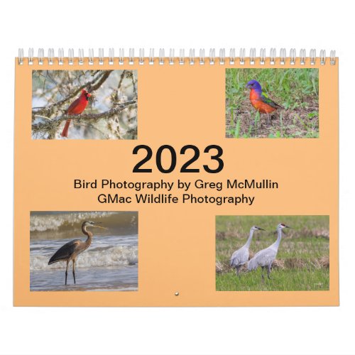 2023 Texas Bird Calendar
