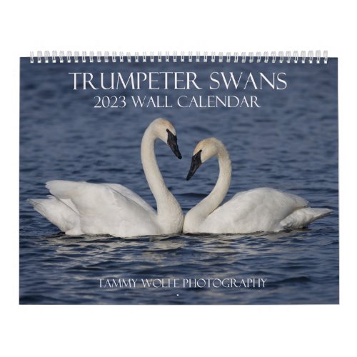 2023 Trumpeter Swan Wall Calendar