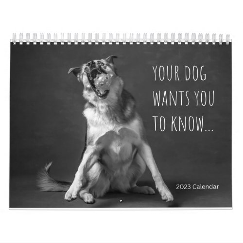 2023 Wall Calendar _ Dog Humor