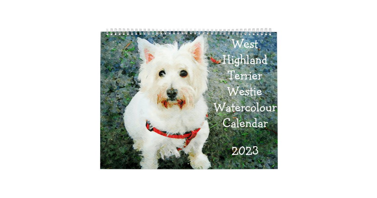 2023 West Highland Terrier Dogs Westie Lover Gift Calendar Zazzle