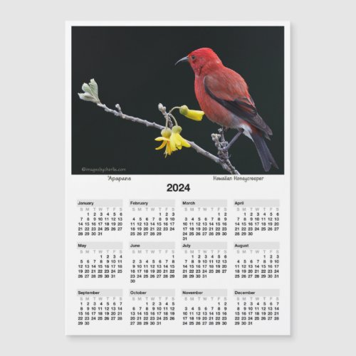 2024 5x7 Calendar Apapane Hawaiian Honeycreeper