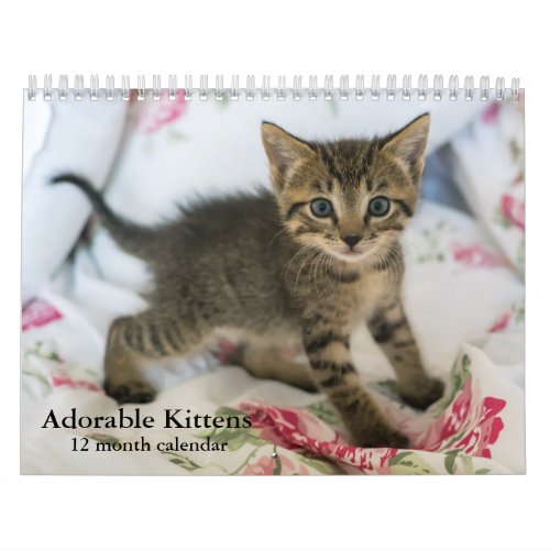 2024 Adorable Kittens Twelve Month Cat Calendar