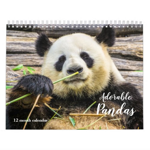 2024 Adorable Pandas Calendar
