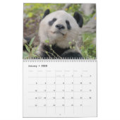 2024 Adorable Pandas Calendar (Jan 2025)