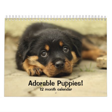 2024 Adorable Puppies Twelve Month Dog Calendar