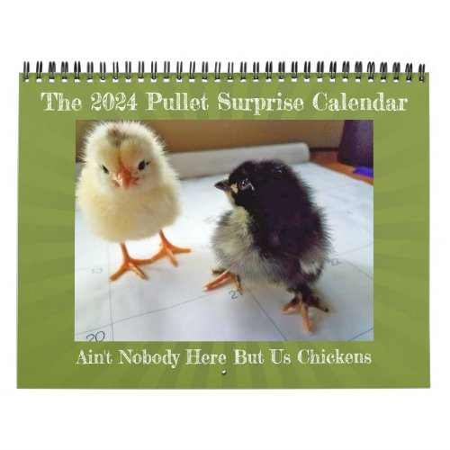 2024 Aint nobody here but us chickens calendar