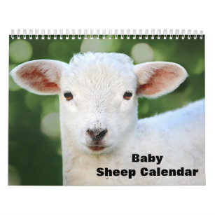 2024 Baby Sheep Lamb Calendar