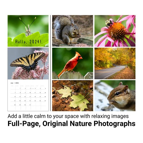 2024 Backyard Wildlife Photography Calendar