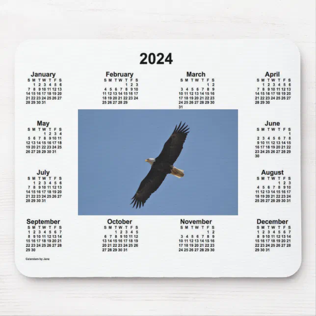 2024 Bald Eagle Calendar by Janz Mouse Pad Zazzle