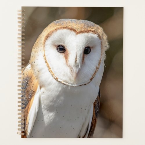 2024 Barn Owl Planner