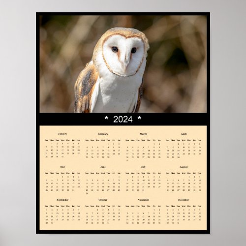 2024 Barn Owl Wall Calendar Poster