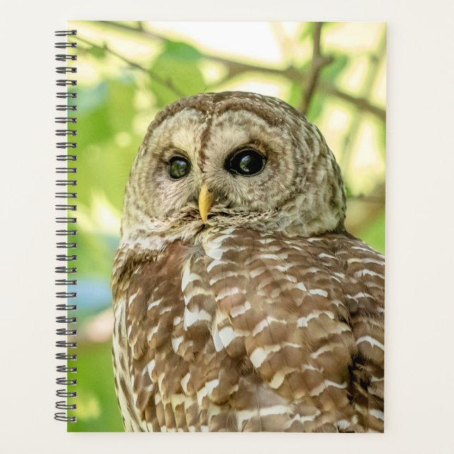 2024 Barred Owl Planner (Front)