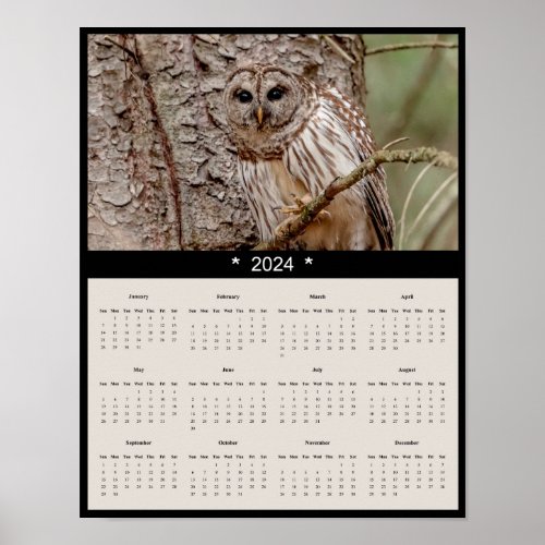 2024 Barred Owl Wall Calendar Poster