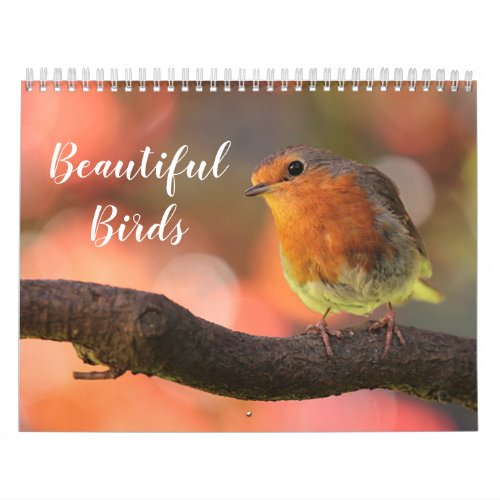 2024 Beautiful Birds Calendar