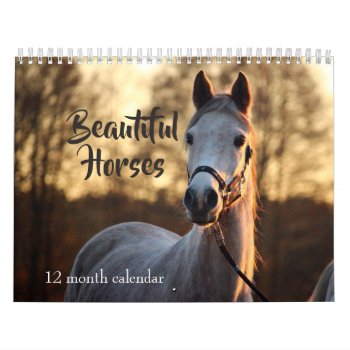 2024 Beautiful Horses Calendar by MiscellanyShop at Zazzle