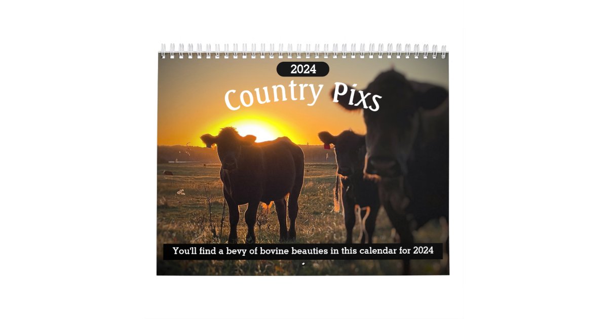 2024 Beef Cattle Calendar Zazzle