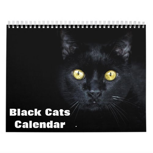 2024 Black Cats Photo Calendar
