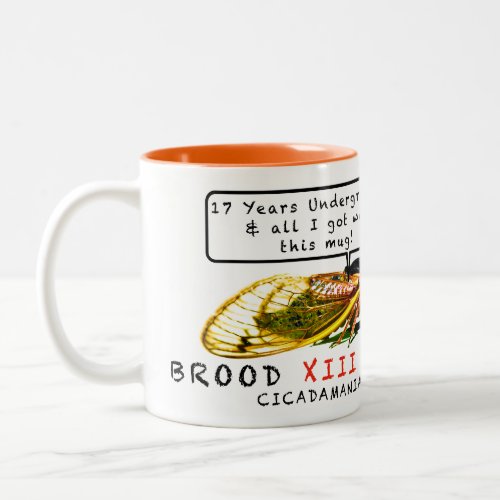 2024 Brood XIII Cicadas 17_years Mug