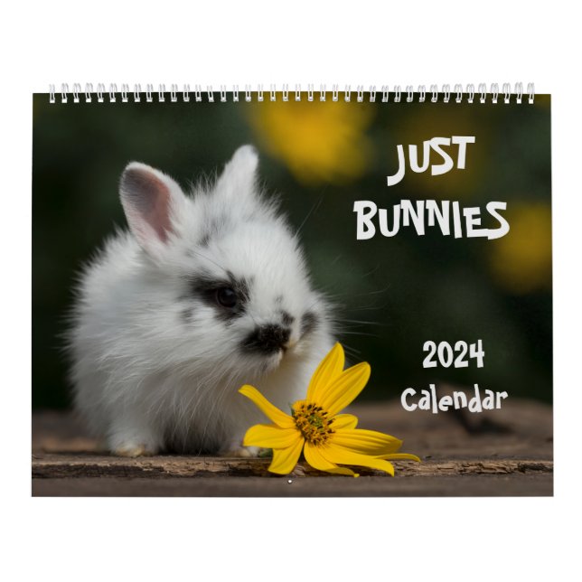 2024 Bunnies Large Wall Calendar (Cover)