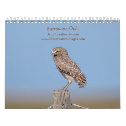 2024 Burrowing Owls of Florida Calendar