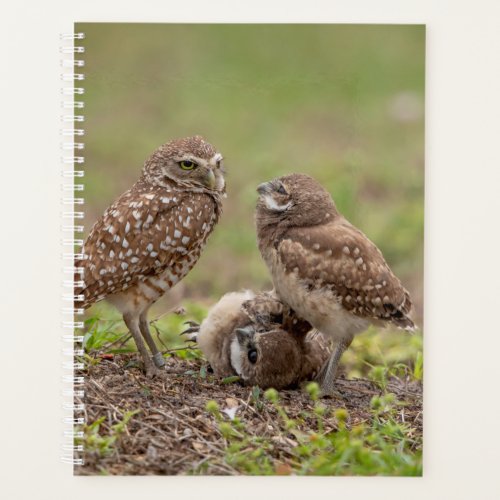 2024 Burrowing Owls Planner