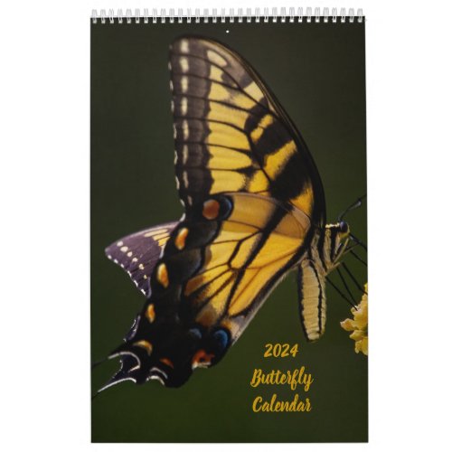 2024 Butterfly One Page Calendar