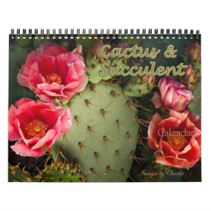 2024 Cactus & Succulent Flower (Original version) Calendar