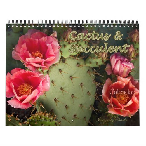 2024 Cactus  Succulent Flower Original version Calendar