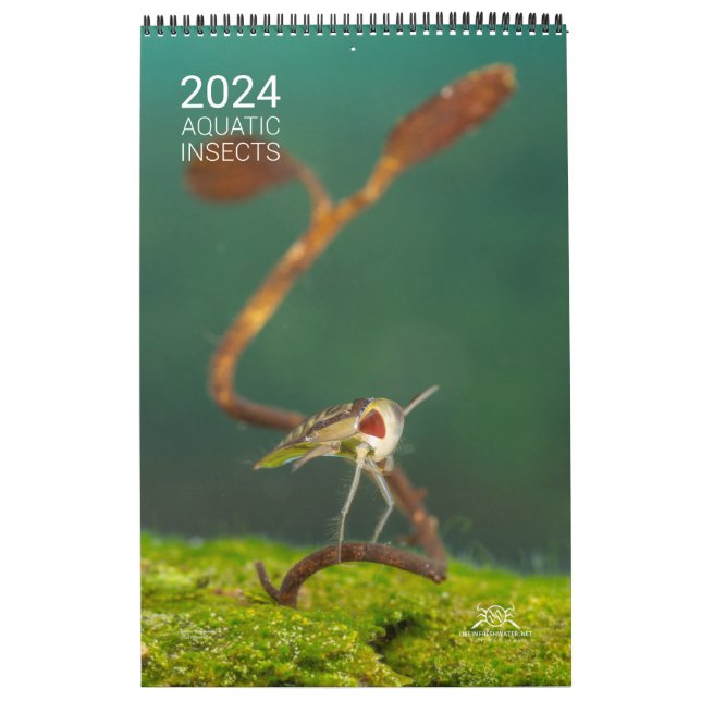 2024 Calendar - Aquatic insects (Cover)